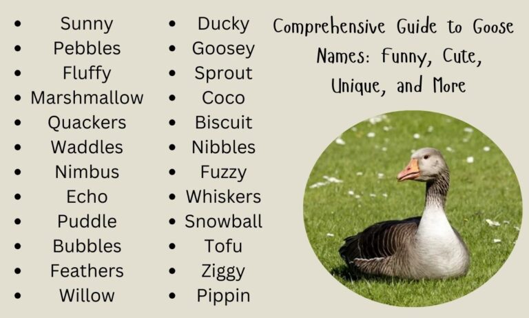 Comprehensive Guide to Goose Names Funny, Cute, Unique, and More