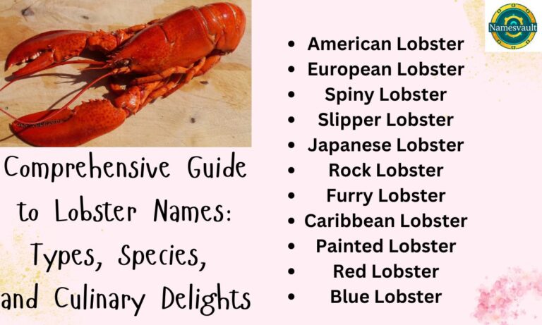 Comprehensive Guide to Lobster Names Types, Species, and Culinary Delights