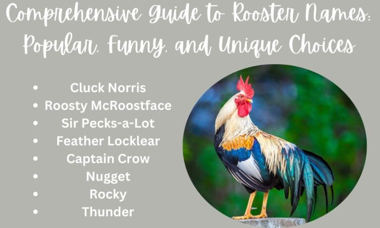 Comprehensive Guide to Rooster Names Popular, Funny, and Unique Choices