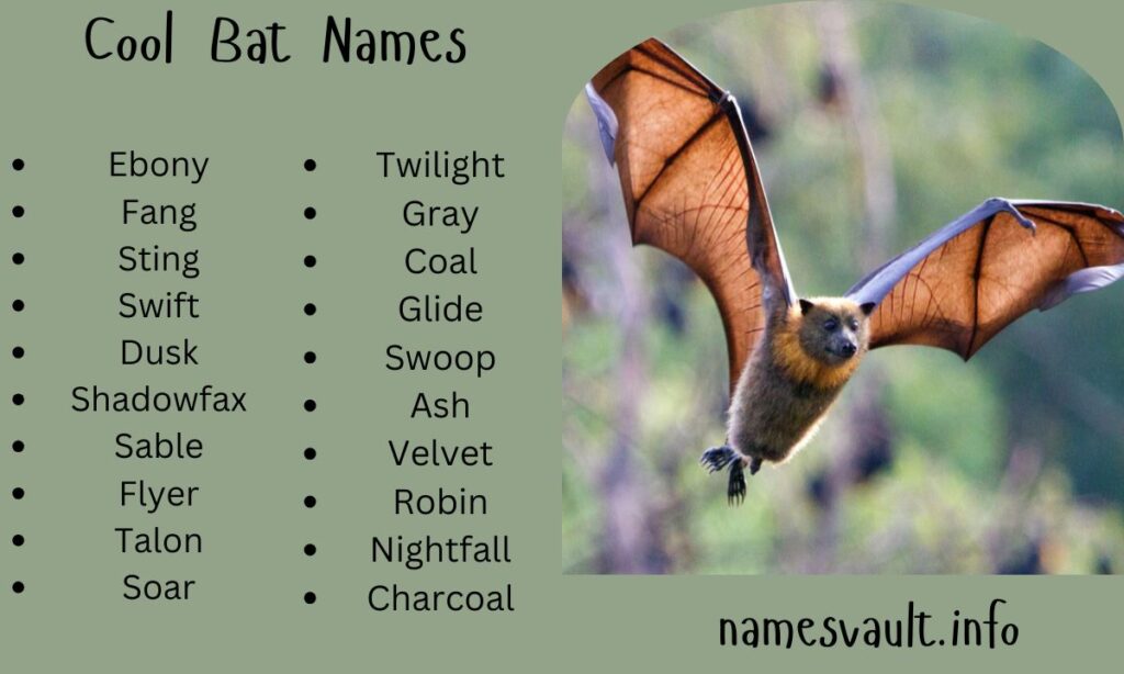 Cool Bat Names
