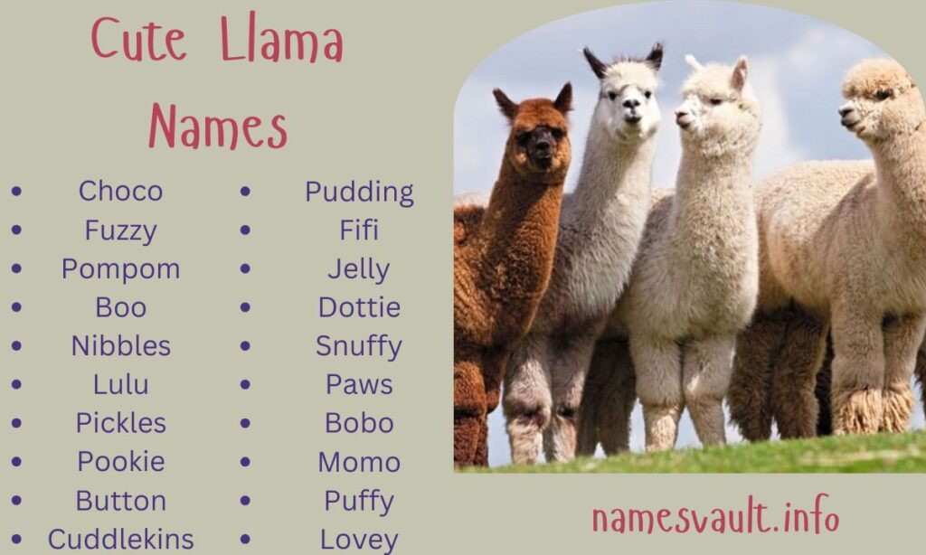 Cute Llama Names