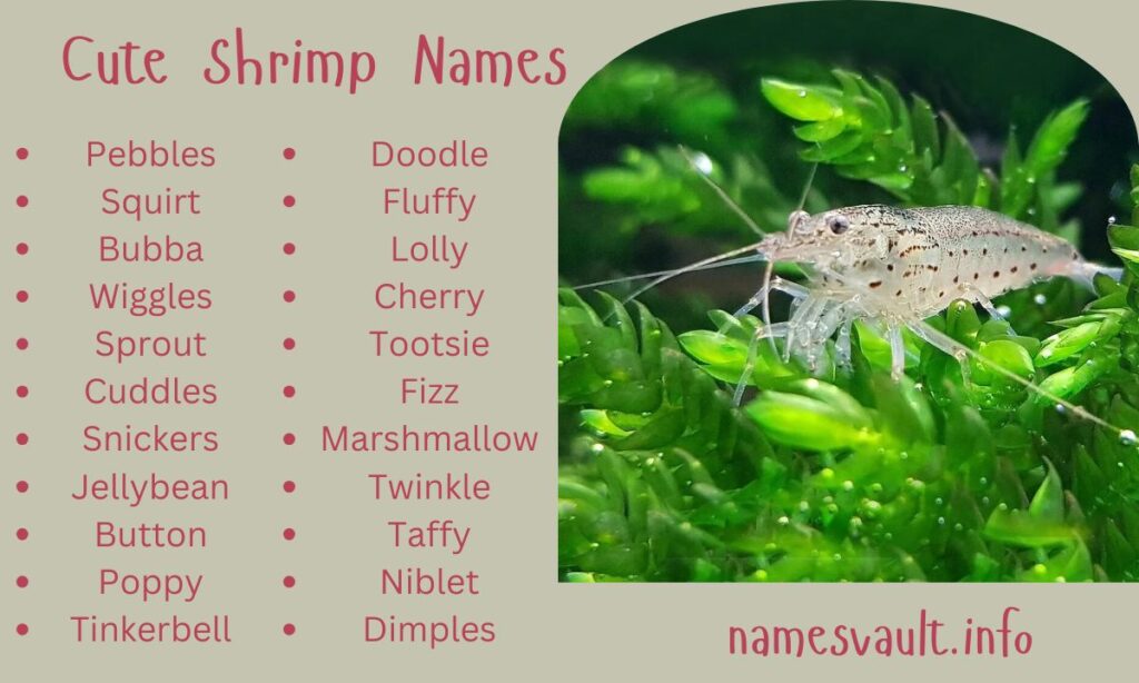 Cute Shrimp Names