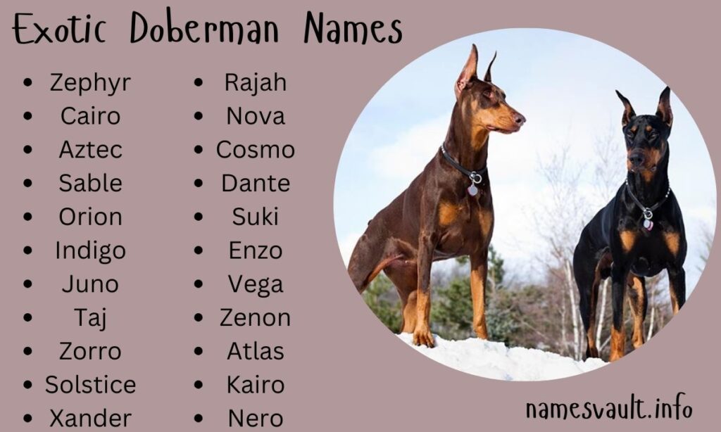 Exotic Doberman Names