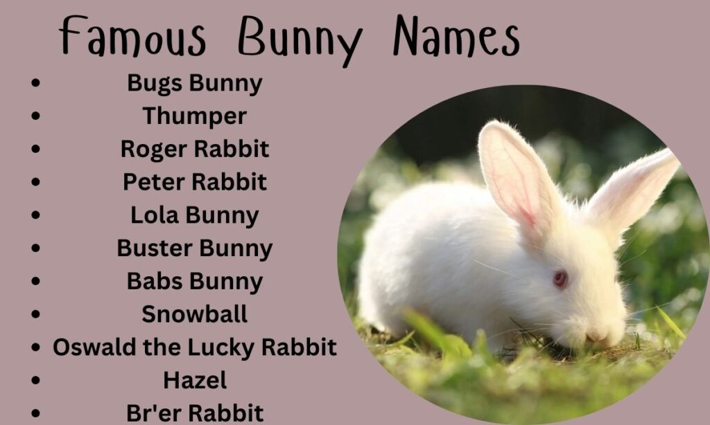 Famous Bunny Names