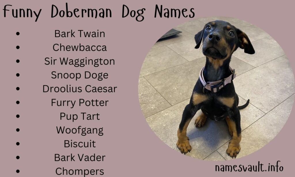 Funny Doberman Dog Names