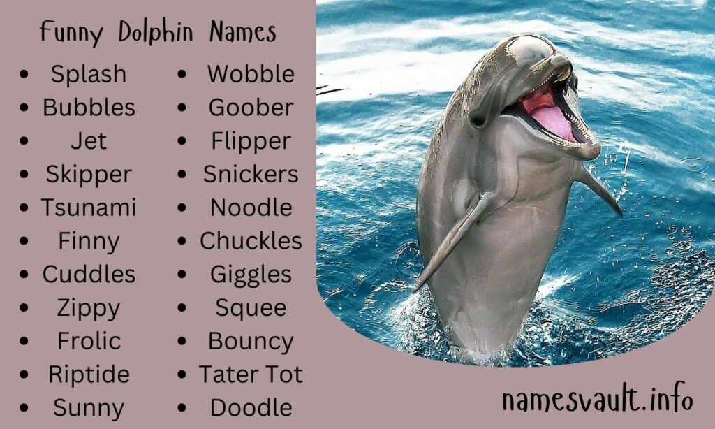 Funny Dolphin Names