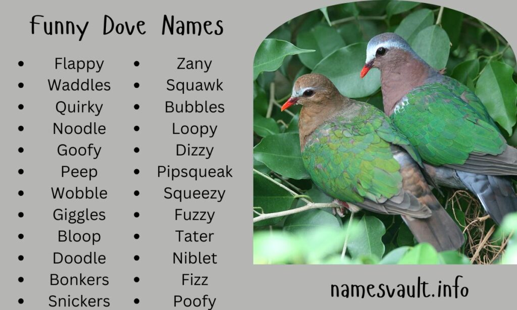 Funny Dove Names