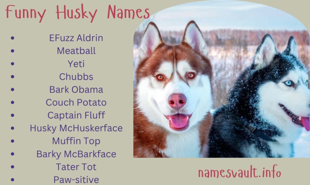 Funny Husky Names