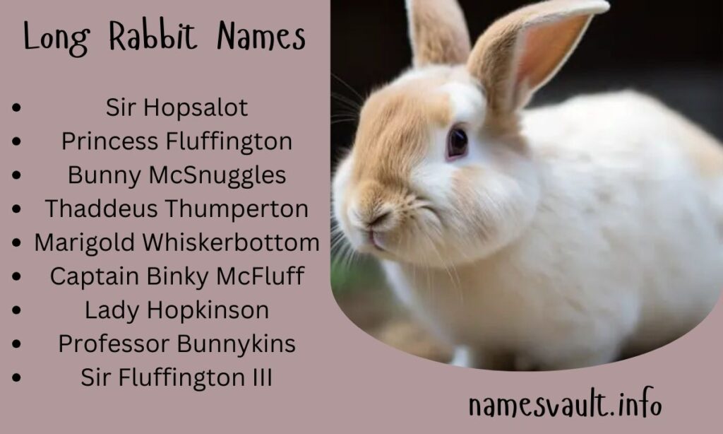 Long Rabbit Names