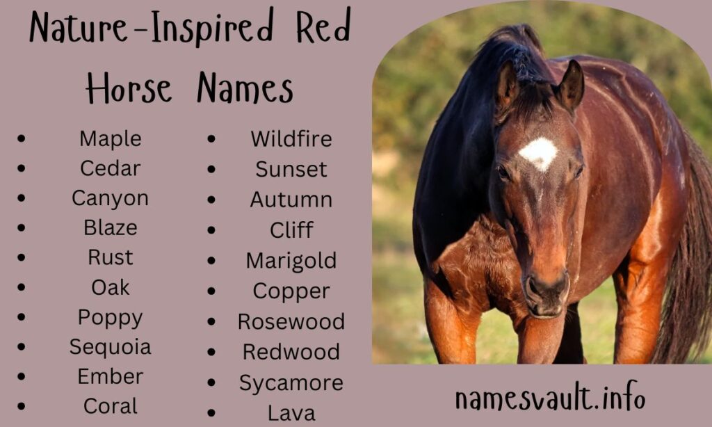 Nature-Inspired Red Horse Names