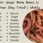 Top 350+ Unique Worm Names to Inspire Your Slimy Friend's Identity