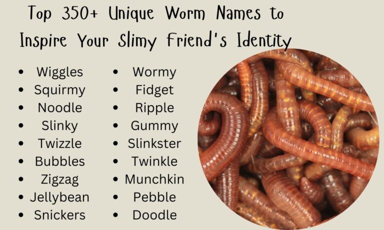 Top 350+ Unique Worm Names to Inspire Your Slimy Friend's Identity