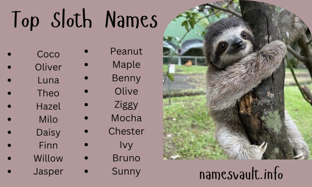 Top Sloth Names