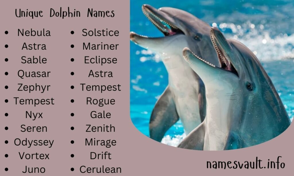 Unique Dolphin Names