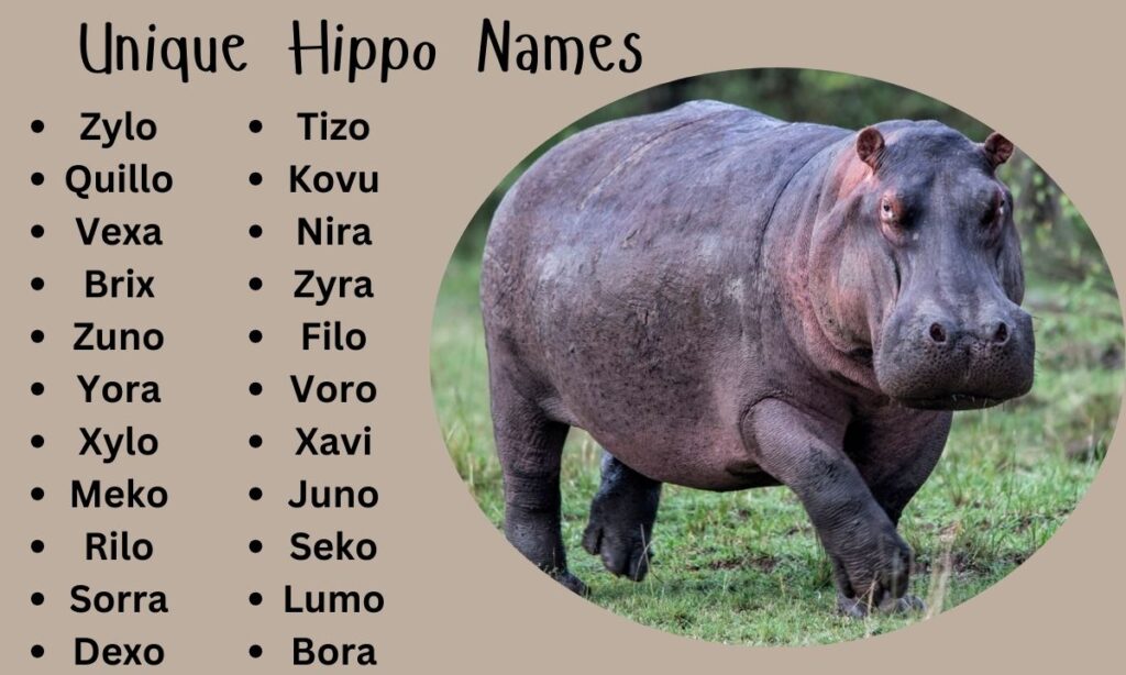 Unique Hippo Names