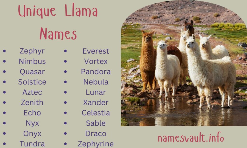 Unique Llama Names