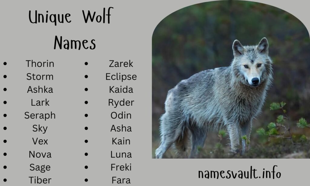Unique Wolf Names