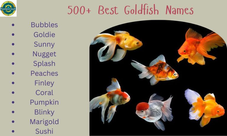 500+ Best Goldfish Names Unique, Funny, and Popular Ideas for Your Pet