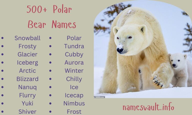 500+ Polar Bear Names Male, Female, Famous, and Unique Name Ideas