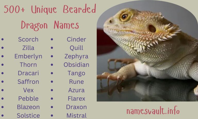 500+ Unique Bearded Dragon Names Unisex, Funny, Cute & Cool Options