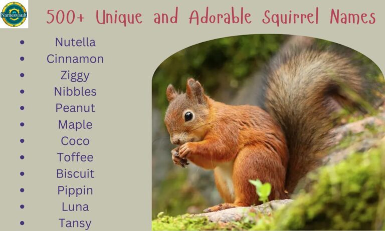 500+ Unique and Adorable Squirrel Names for Your Pet Comprehensive Guide