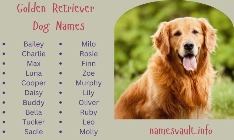 500+ Unique and Powerful Golden Retriever Dog Names You'll Love
