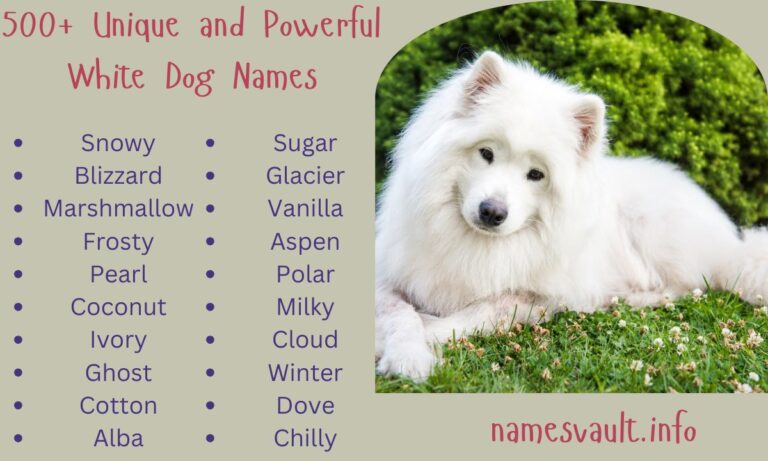 500+ Unique and Powerful White Dog Names for Your Snowy Companion