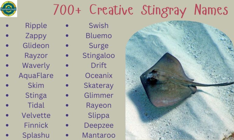 700+ Creative Stingray Names Funny, Cool, and Unique Ideas for Your Marine Friend