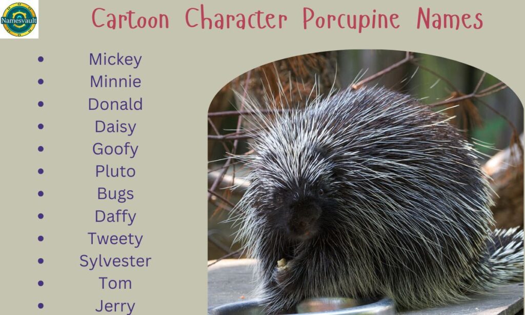 Cartoon Character Porcupine Names