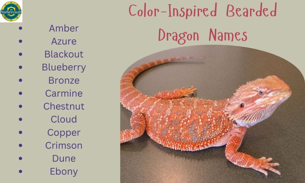 Color-Inspired Bearded Dragon Names